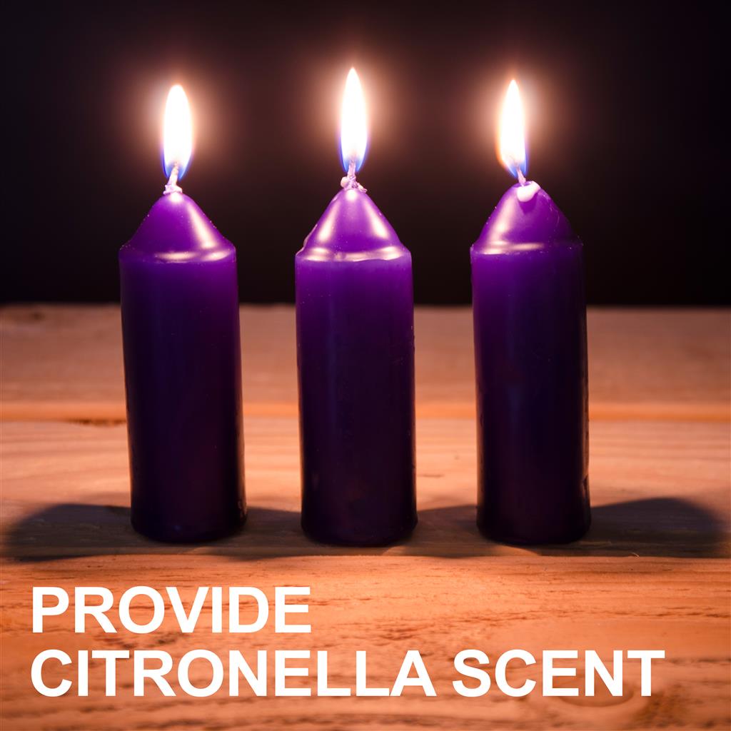 [購買] UCO 香茅蠟燭補充裝 9-Hour Citronella Candles (3 pack)